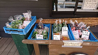 東京の世田谷で夏6月～7月中旬、季節の野菜やいちご、ぶどう狩りが楽しめる「ABCafe」是非一度足を運んでみてください(*^^)